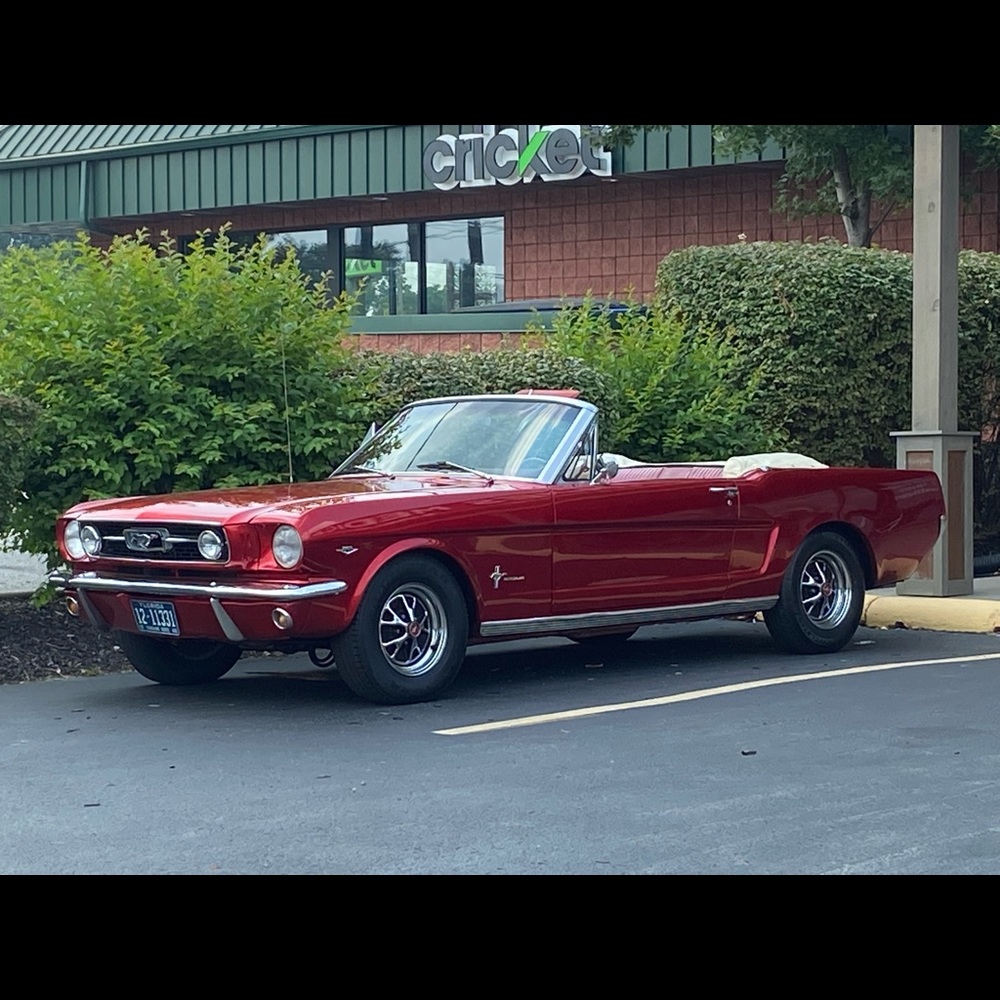 Meet your Posher, Dixie